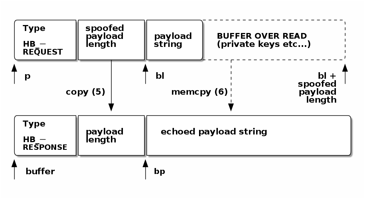 TLS Heartbeat with spoofed payload-length-field